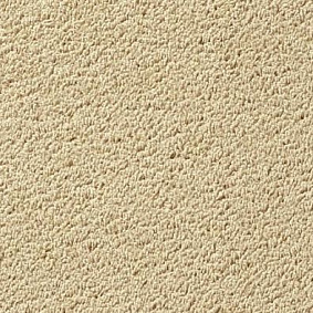  Vorwerk Passion 1003
