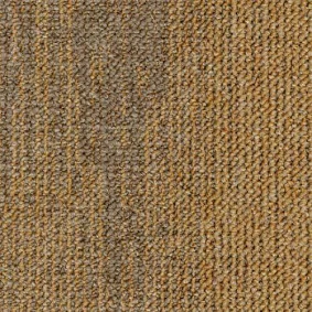  Desso1 Desso Essence Structure 1908