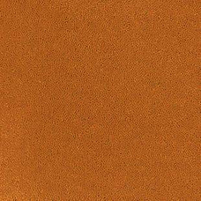  Desso Asteranne