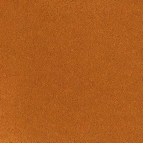  Desso Asteranne 5101