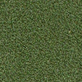  Girloon Standard 455