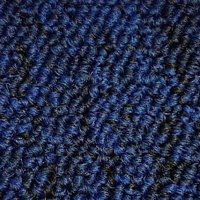  Ruscarpettiles Rct Peru 7783