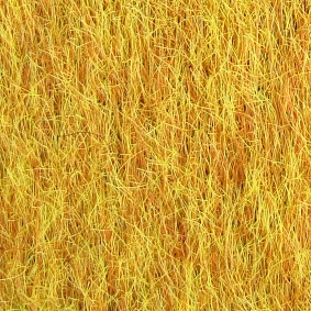  Pvh 3620 Yellow