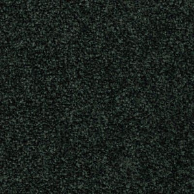  Ruscarpettiles Rct Riva