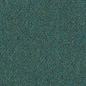  Shaw Momentum 02422