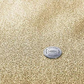  Vorwerk Essential 1076 8k12