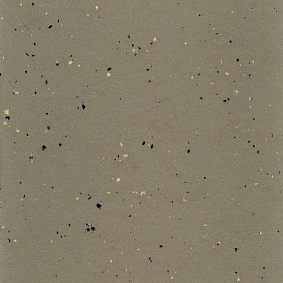  Armstrong2 Lino Art Star Lpx