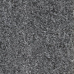  Ruscarpettiles Rct Status