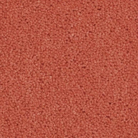  Balsan Majestic 536