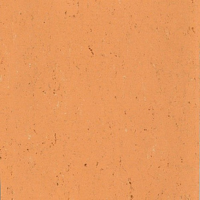  Armstrong2 Armstrong Colorette Lpx