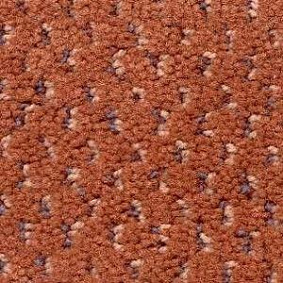  Radici Mosaico