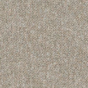  Desso1 Desso Natural Nuances 9110