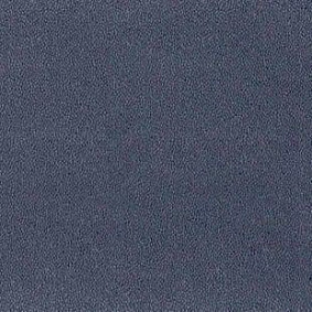  Desso Asteranne 3842