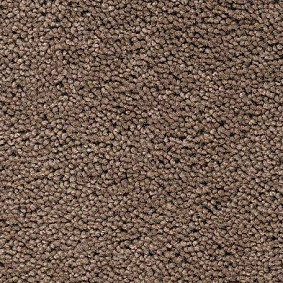  Best Wool