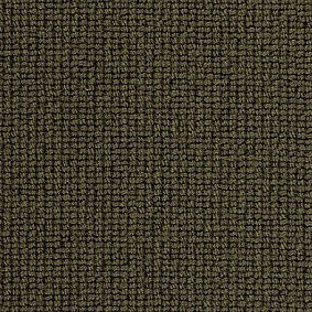  Best Wool