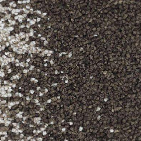  Balsan1 Balsan Nexus Link