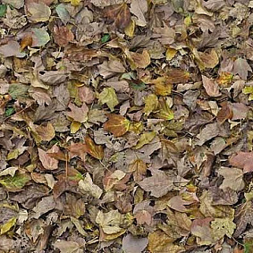  Forbo Flotex Vision Image