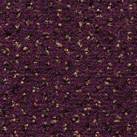  Condor Carpets Argus1