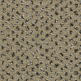  Ruscarpettiles Rct Apple 72