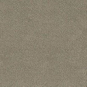  Desso Asteranne 9086