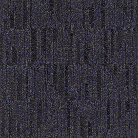  Enia