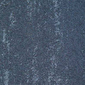  Ruscarpettiles Rct Arctic