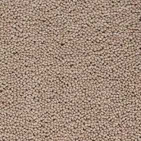  Best Wool Pure Brunel D40010