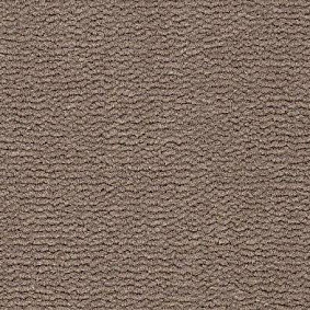  Best Wool
