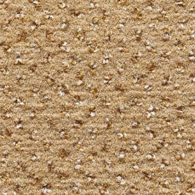  Condor Carpets Argus1