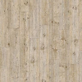  Maritime Pine 24241