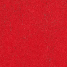  Forbo Marmoleum Solid Concrete