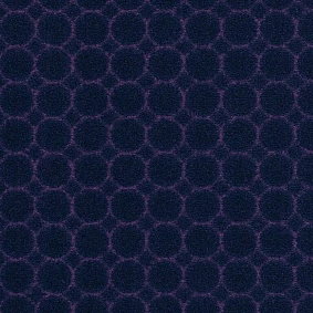  Balsan 870 Myrtille