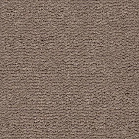 Best Wool Tasman