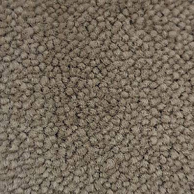  Condor Carpets Marriott