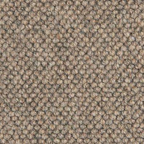  Best Wool