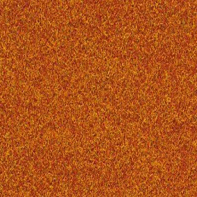  Finett Vision Color