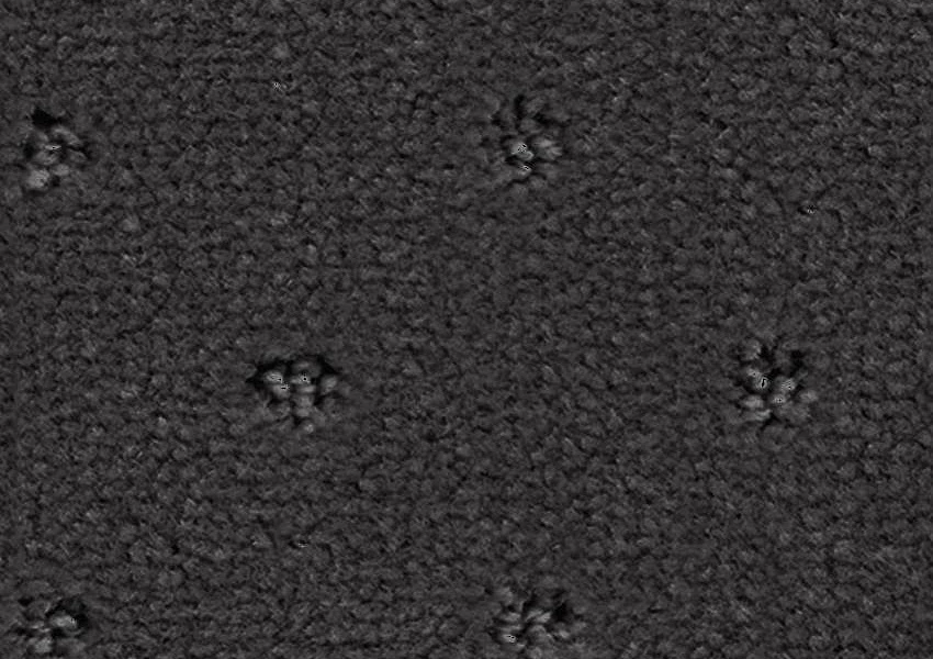 Ковролин Balsan Royal 960