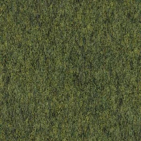  Finett Vision Color 11