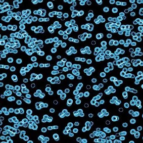  Forbo Flotex Sottsass Bacteria 990105