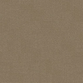  Interface 105258